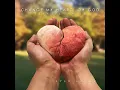 Change My Heart, Oh God