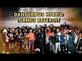 Detroit s Most Dangerous Hybrid Gangs Crips Bloods Gangster Disciples Unite