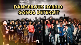 Detroit s Most Dangerous Hybrid Gangs Crips Bloods Gangster Disciples Unite
