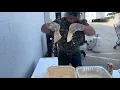 100lbs of Fried Catfish