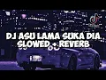 Download Lagu DJ ASU LAMA SUKA DIA SLOWED + REVERB JEDAG JEDUG MENGKENE VIRAL TIKTOK