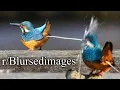 Download Lagu blursed images