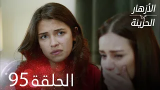 الأزهار الحزينة الحلقة 95 كاملة Kırgın Çiçekler 