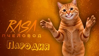 ПЕСНЯ КОТ ХЛОПАЕТ В ЛАДОШИ мем клип Rasa - Пчеловод ПАРОДИЯ