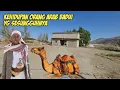 Download Lagu SEPERTI INI !! KEHIDUPAN ARAB BADUI YG SESUNGGUHNYA KAYA RAYA TAPI SEDERHANA