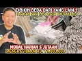 Download Lagu DIBIKIN BEDA DARI YANG LAIN ‼️ JAJANAN KAKI LIMA RASA BINTANG LIMA MODAL HARIAN 5JT HASILKAN 11JUTA