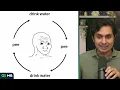 How to Break Free From Life's Endless Cycles