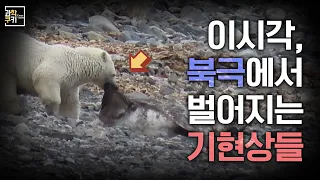 아름다웠던 북극에서, 무서운 변화를 봤습니다