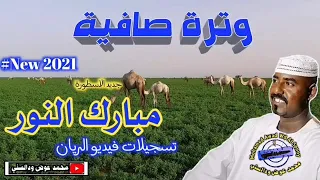 جديد الفنان مبارك النور وترة صافية 