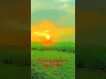 Download Lagu desah rangila rangila suscribe 🙏#shorts #deshbhakti #viral