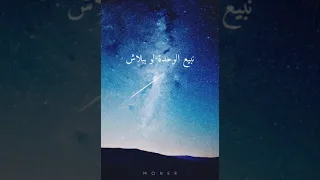 أحمد كامل   كان في طفل دندنها