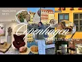 travel with me to copenhagen first week at DIS copenhagen