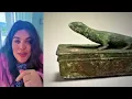 What Does Your Lizard Dream Mean Don t Ignore the Signs - Auntyflo com