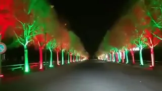 قلب وش جابك لهذا الدرب قلب سلمت حالك للغرب 