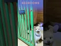 Paw House Bangkok - Dog Boarding Daycare
