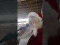 CHRISTMAS. HARK the Herald Angels Sing. Michele Charlotte La Fortune