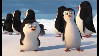 penguins of madagascar hindi part 1 2014 
