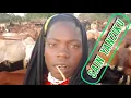 Download Lagu Konde boy saini ya nziku ujumbe wa Danieli by msambazaji mugoyela kwenjiwa 22 06 2025