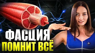 Врачи не знали этого 200 лет! Как фасция управляет нашим телом?