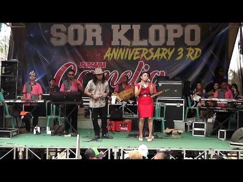 Download MP3 TAK HARUS MEMILIKI SONI & SELI - CAMELIA LIVE KUDUS SOR KLOPO