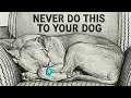 Dog Psychology 10 MISTAKES That Make Your DOG Think You DON T LOVE HIM