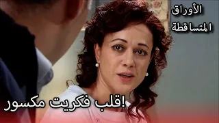 فكرت تشاجر مع تحسين الأوراق المتساقطة الحلقة 211 