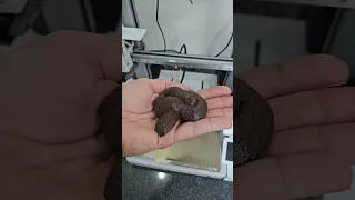 PEGADINHAS Incríveis IMPRESSAS em 3D