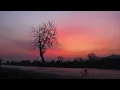 Dil Ke Armaan | Salma Agha | On Hawaiian Guitar | By Malay Ranjan Sengupta