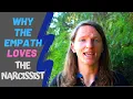 Empath Sexuality Relationships and Self Care Why Empaths Love Narcissists Traits of A Narcissist