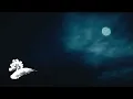 Download Lagu Beegie Adair - In A Sentimental Mood [Valentine's Day Visualizer]