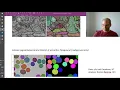 Lecture 5 1 Fundamentals of Instance Segmentation CVF20
