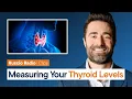 How To Interpret Your Thyroid Test Levels TSH Free T4 More