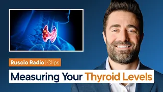 How To Interpret Your Thyroid Test Levels TSH Free T4 More