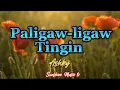 Download Lagu Paligaw-ligaw Tingin (Ashley) with Lyrics