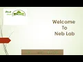 NebLab data structures part 6 Recursion 4 use playback speed as per your comfort