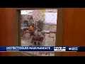 Rankin Pearl schools require masks