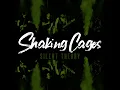 Shaking Cages - Silent Theory