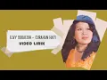 Download Lagu Elvy Sukaesih - Curahan Hati (Video Lirik)