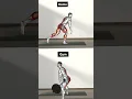 Leg Workout (Gym \u0026 Home)