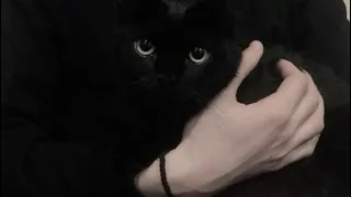 راحت ايامه Star 