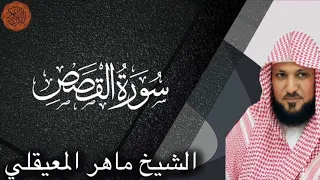الشيخ ماهر المعيقلي سورة القصص دندنها