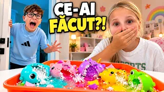Ariana mi-a DISTRUS toate Squishy-urile! 👿