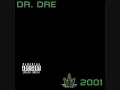 Dr. Dre Feat. Eminem & Xzibit - Whats The Difference ( Live on Stage )