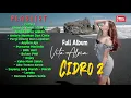 Download Lagu Full Album Vita Alvia CIDRO 2 || Full Album Dj Remix || Viral Tik Tok !!!