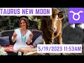 New Moon Taurus May 19 2023 11 53 AM EST Huge Energetic Shifts to Abundance Wealth Resources