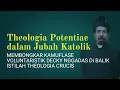Download Lagu Membongkar Theologia Crucis Ala Pendeta Reformed DN: Serigala Berjubah Fransiskan