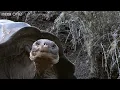 Funny Talking Animals | Walk On The Wild Side - BBC