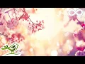 Download Lagu 9 Jam Musik Tidur nan Tenang • Musik Piano Lembut, Tidur Lelap dengan Cepat #98