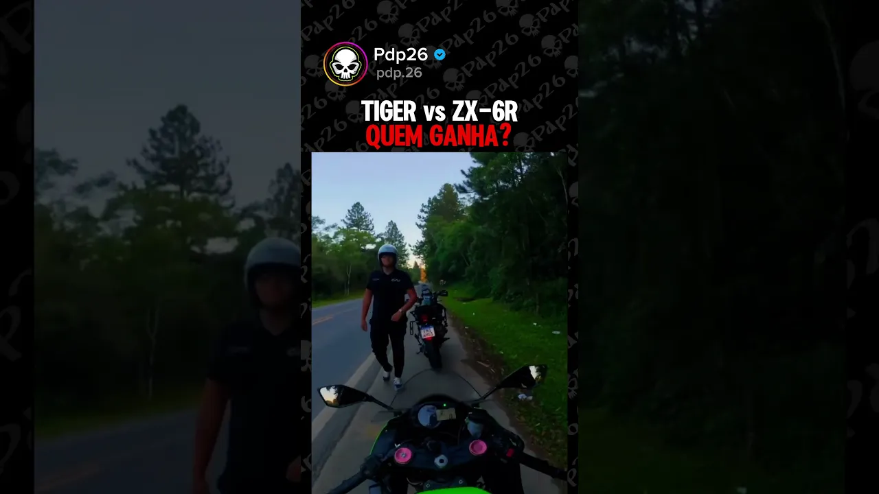 Tiger ou Ninja
