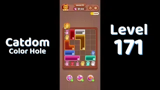Catdom Color Hole Level 171 Screenshot